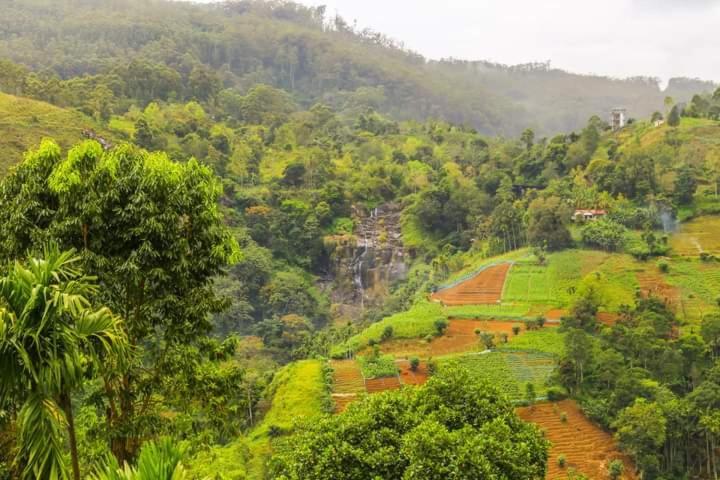 Hillcrest Ella Bed & Breakfast ภายนอก รูปภาพ