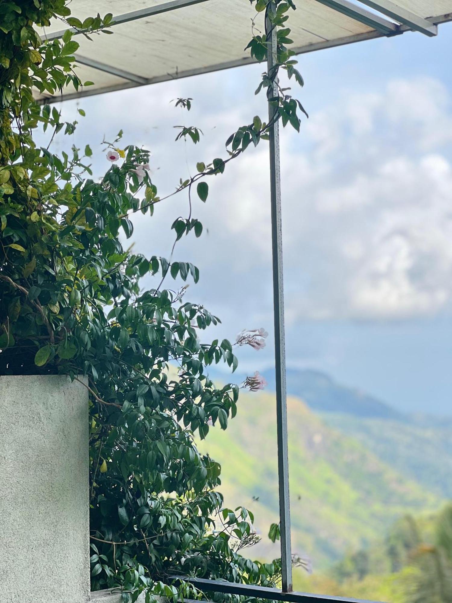 Hillcrest Ella Bed & Breakfast ภายนอก รูปภาพ
