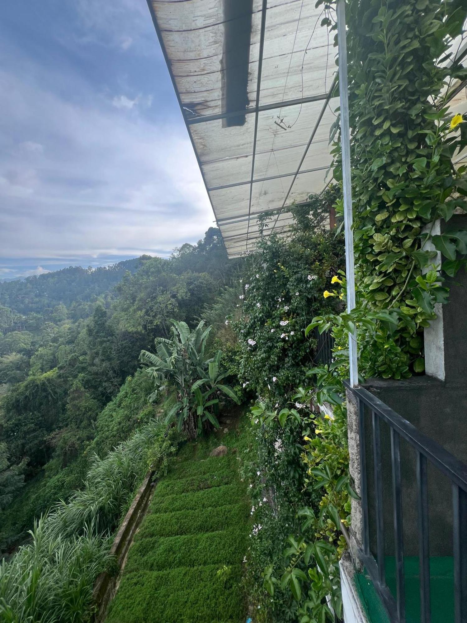 Hillcrest Ella Bed & Breakfast ภายนอก รูปภาพ